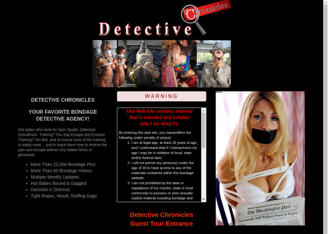 detective chronicles