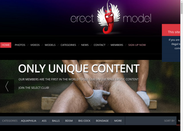 erect model
