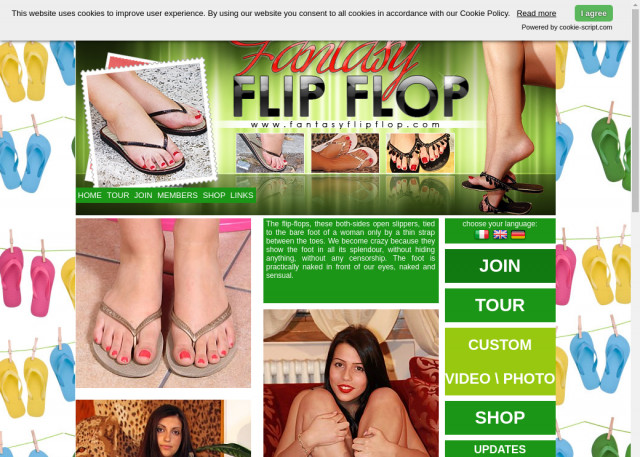 fantasy flip flop