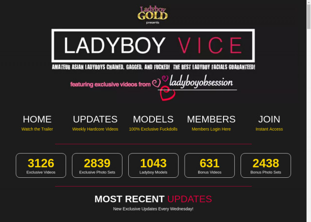 ladyboy vice