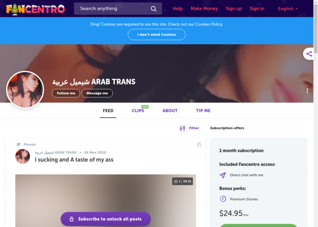arab trans