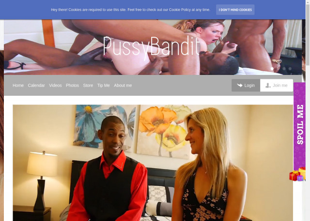pussy bandit