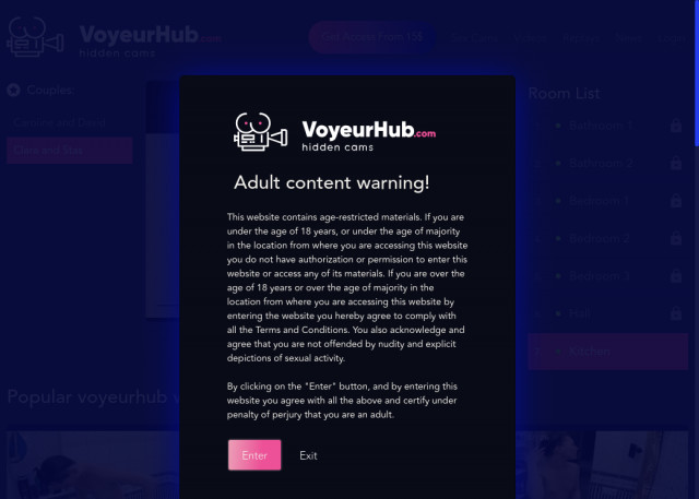 voyeur hub