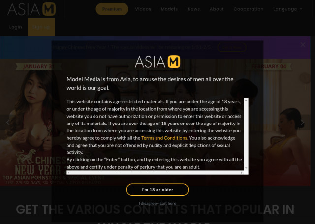 model media asia