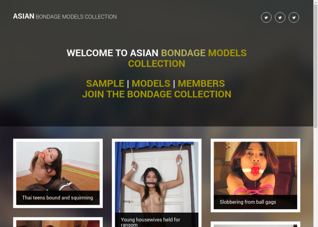 asian bondage models