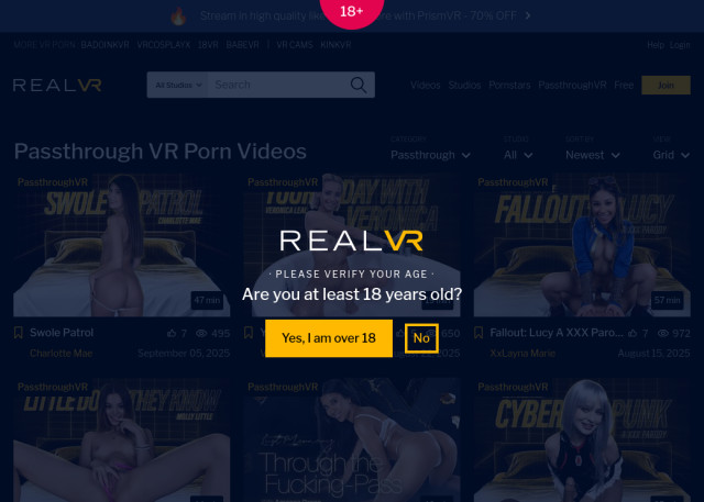 passthrough vr