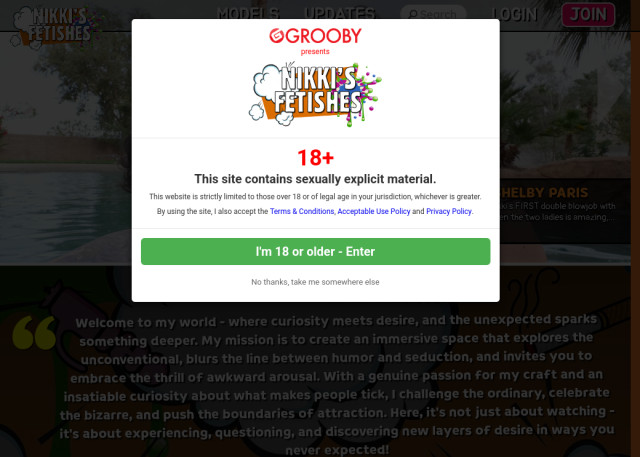 nikkis fetishes